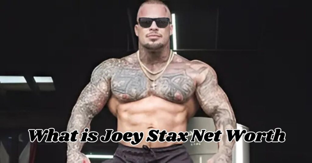 Joey Stax Net Worth